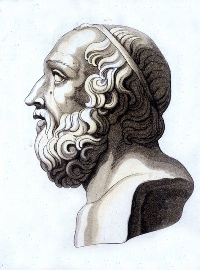 Retrato de Platón (-428; -348) de Unknown artist