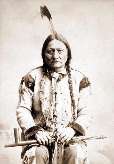 Retrato de Toro Sentado, jefe indio, circa 1886 de Unknown artist