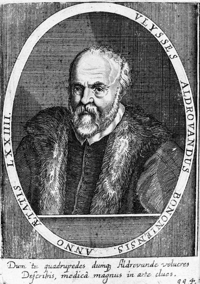 Retrato de Ulisse Aldrovandi (1522 - 1605?) de Unknown artist