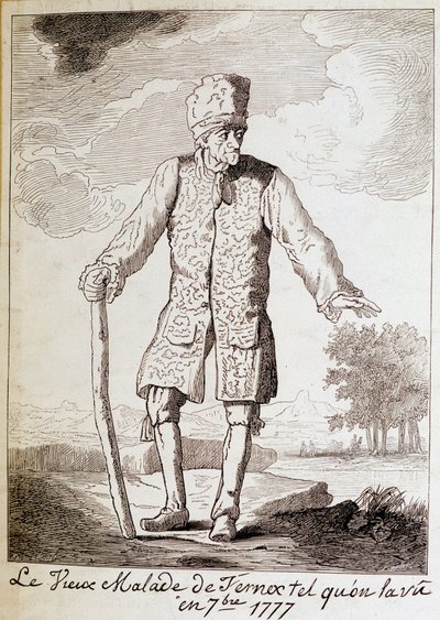 Retrato de Voltaire (1694-1778), escritor y filósofo francés, anciano de Unknown artist