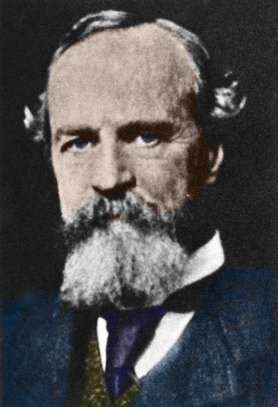 Retrato de William James (1842-1910), filósofo pragmatista estadounidense. de Unknown artist