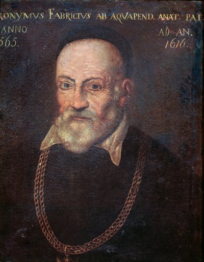 Retrato del anatomista y cirujano pionero Hieronymus Fabricius de Unknown artist
