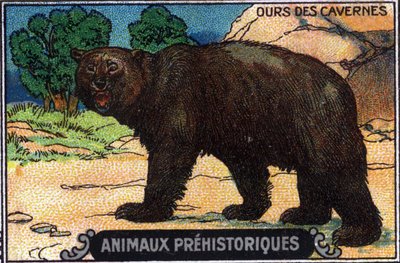 Animal prehistórico: un oso de las cavernas. de Unknown Artist