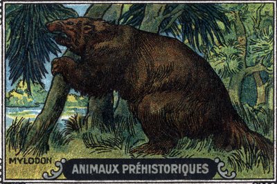 Animal prehistórico: un milodón. de Unknown Artist