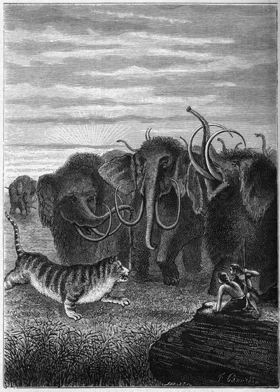 Prehistoria: Mamuts y gato gigante de las cavernas. Grabado de "París antes de la historia" por Elie Berthet. de Unknown artist