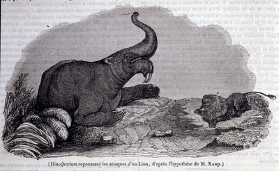 Prehistoria: representación de un Dinotherium, tipo de paquidermo, repeliendo el ataque de un león. Grabado del siglo XIX de Unknown artist