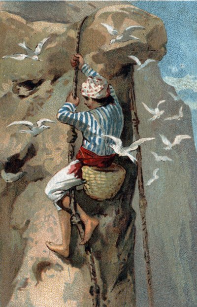 Recolección de nidos de golondrinas salanganas en Malasia. Cromolitografía de finales del siglo XIX de Unknown artist