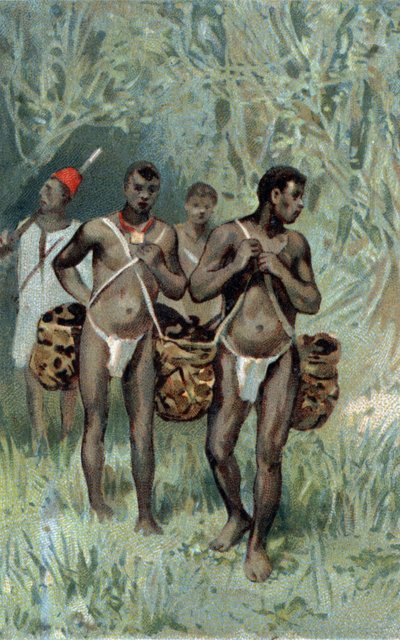 Recolección de caucho en el Congo. Cromolitografía de finales del siglo XIX de Unknown artist
