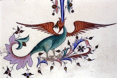 Representación de un ala de dragón. Miniatura de un manuscrito del siglo XIV. Milán, Biblioteca Nacional Braidense de Unknown artist