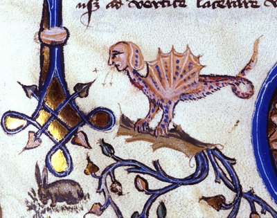 Representación de un animal fantástico mitad hombre mitad dragón. Miniatura de un manuscrito del siglo XIV de Unknown artist
