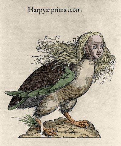 Representación de una arpía. Grabado de Ulisse Aldrovandi (1522-1605), “Monstrorum Historiae”, Bolonia 1642 de Unknown artist