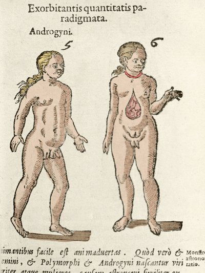 Representación de un andrógino y un hermafrodita. Lámina tomada de “De natura Divinis caracteris” de Cornelio Gemma 1575 de Unknown artist