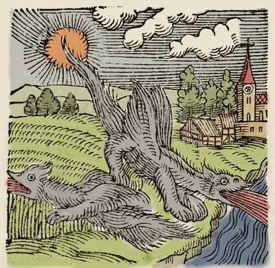 Representación de basiliscos en vuelo quemando campos de trigo. Grabado de “Prodigiorum ac ostentorum chronicon” por Conrad Lycosthenes (1518-1561). 1557. de Unknown artist