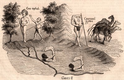 Representación de tribus medievales y especies animales: Monocules, Blemmys, Sciopodes y camellos de Unknown artist