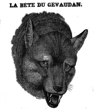 Representación de la Bestia de Gévaudan de Unknown artist