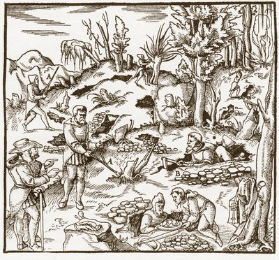 Rabdomancia - Exploración de un campo minero usando la vara adivinatoria - Hombres cortan y usan varas adivinatorias para localizar minerales - De De re metallica por Georgius Agricola (Georg Bauer), Basilea de Unknown artist