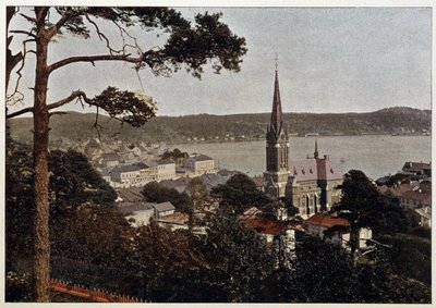Río de Janeiro, vista del Morro de Gloria, finales del siglo XIX de Unknown artist