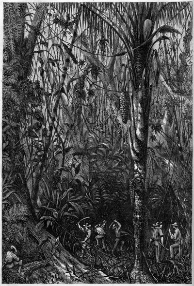 Desarrollo vial en Centroamérica: La perforación de la carretera nicaragüense a través de un bosque virgen (deforestación). Dibujo del teniente Olivier, miembro de la expedición del capitán Bedford Pim (1826-1886). Grabado en "The Illustrious Universe" de Unknown artist
