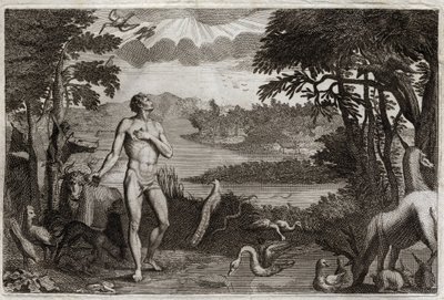 Biblia de Royaumont, Antiguo Testamento: Creación del Hombre y la Mujer. Dios que creó al hombre, lo pone en el Paraíso terrenal, y le prohíbe comer del fruto del árbol del conocimiento del bien y del mal. Ilustración de 1811. de Unknown artist