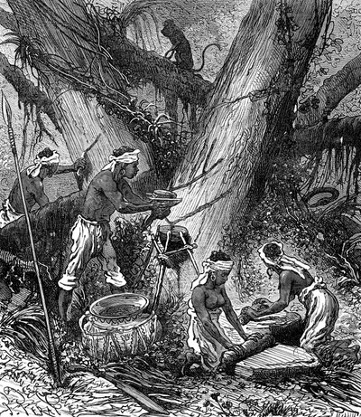 Recogida de caucho en el bosque de Malasia (grabado) de Unknown Artist