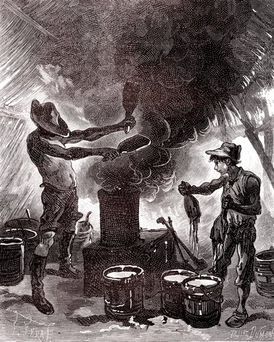 Preparación o vulcanización del caucho en la selva brasileña de Unknown artist