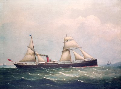 S.S Fooksang de Unknown artist
