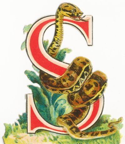 S: serpiente de Unknown artist