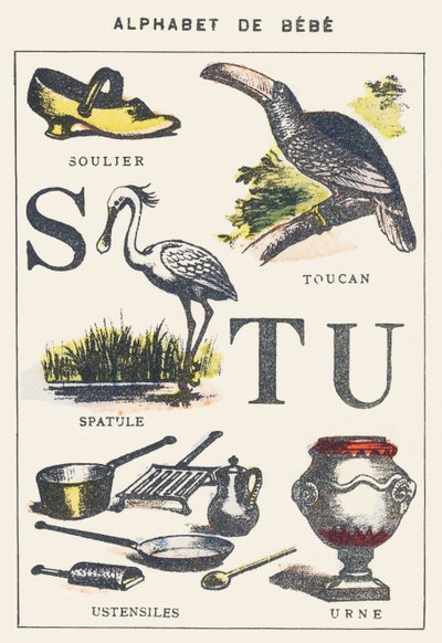 S T U: zapato, espátula, tucán, utensilios, urna de Unknown artist