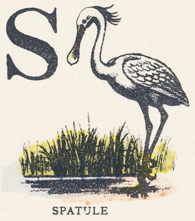 S: espátula de Unknown artist