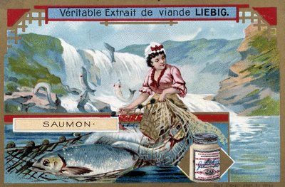 Pesca de salmón - cromo del siglo XIX. de Unknown artist