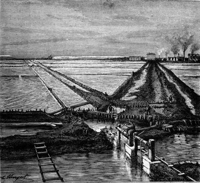 Producción de sal: vista de una salina en la costa mediterránea. Grabado del siglo XIX de Unknown artist