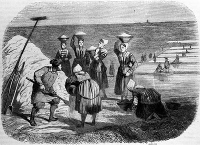 Producción de sal: mujeres trabajando en marismas salinas. Grabado del siglo XIX de Unknown artist
