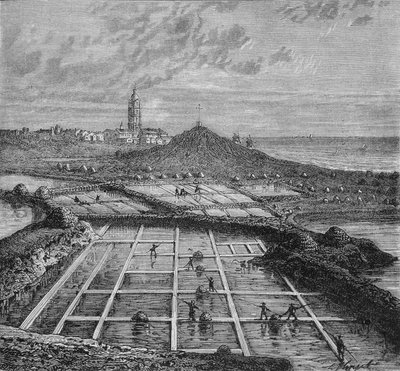 Sauneros en una marisma salina en Bourg de Batz, cerca de Croizic (Bretaña) durante el período de Saunage. En "Maravillas de la Industria" por Louis Figuier de Unknown artist