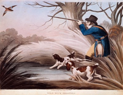 Escena de caza de patos en Inglaterra de Unknown artist