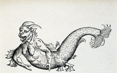 Diablo marino, supuestamente capturado en el Mar Adriático a principios del siglo XV - según Gesner de Unknown artist