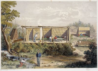 Campamento de colonos en Canadá - en “Sketches on the nipisaguit a river of New Brunswick in America” de William Hickman, ed. Halifax de Unknown artist