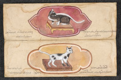 Gatos siameses de Unknown artist