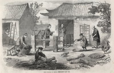 Producción de seda en China y las diversas etapas de fabricación. de Unknown artist