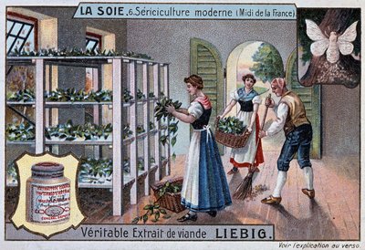 Seda: taller de seda en el sur de Francia, publicidad de Liebig, circa 1895 de Unknown artist