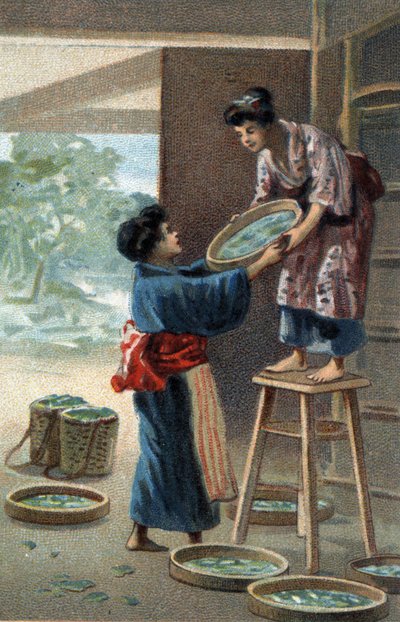 Cría de gusanos de seda en un imán japonés. Cromolitografía de finales del siglo XIX. de Unknown artist