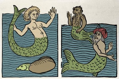 Sirena o Virgen del Mar, Mono y Turco del Mar. Grabado de “Hortus sanitatis” de Unknown artist