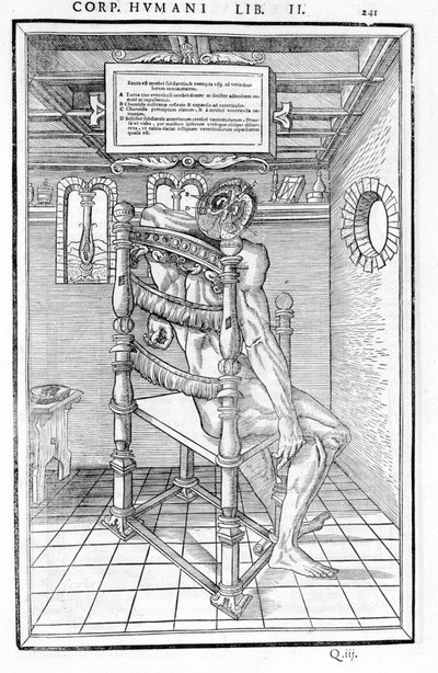 Corte de cráneo. Tabla anatómica de “De dissectione partium corporis humani lbri tres...” Carlo Stefano Riverio, París 1545 de Unknown artist