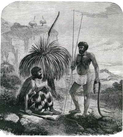 Cazadores de serpientes en Australia. Grabado 1868 de Unknown artist
