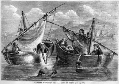 Pescadores de esponjas en la costa siria en 1867 de Unknown artist