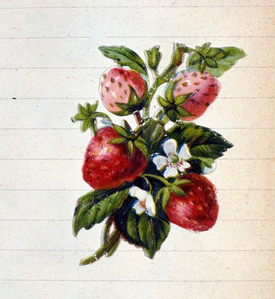 Fresas. Cromolitografía del siglo XIX. de Unknown artist