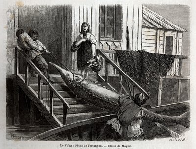 Pesca de esturión en la desembocadura del río Volga. Grabado para ilustrar el viaje por el Volga por M. Moynet, en 1864, en “Le tour du monde, nouveau journal des voyages” publicado bajo la dirección de Edouard Charton de Unknown artist
