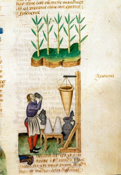 Comerciante de caña de azúcar y cono de azúcar de Unknown artist