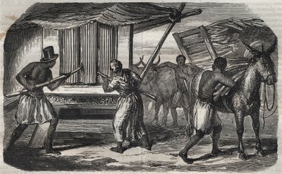 Fabricación de azúcar: un molino de caña de azúcar en una fábrica de azúcar en las Indias Occidentales. Grabado de 1859. de Unknown artist
