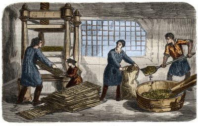 Fabricación de azúcar: extracción de jugo de pulpa de remolacha. La pulpa se mete en bolsas que se apilan bajo la bandeja de una prensa hidráulica. Grabado de 1859 en 