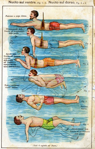 Nadando de barriga - en Bilz, Medicación Natural, finales del siglo XIX de Unknown artist